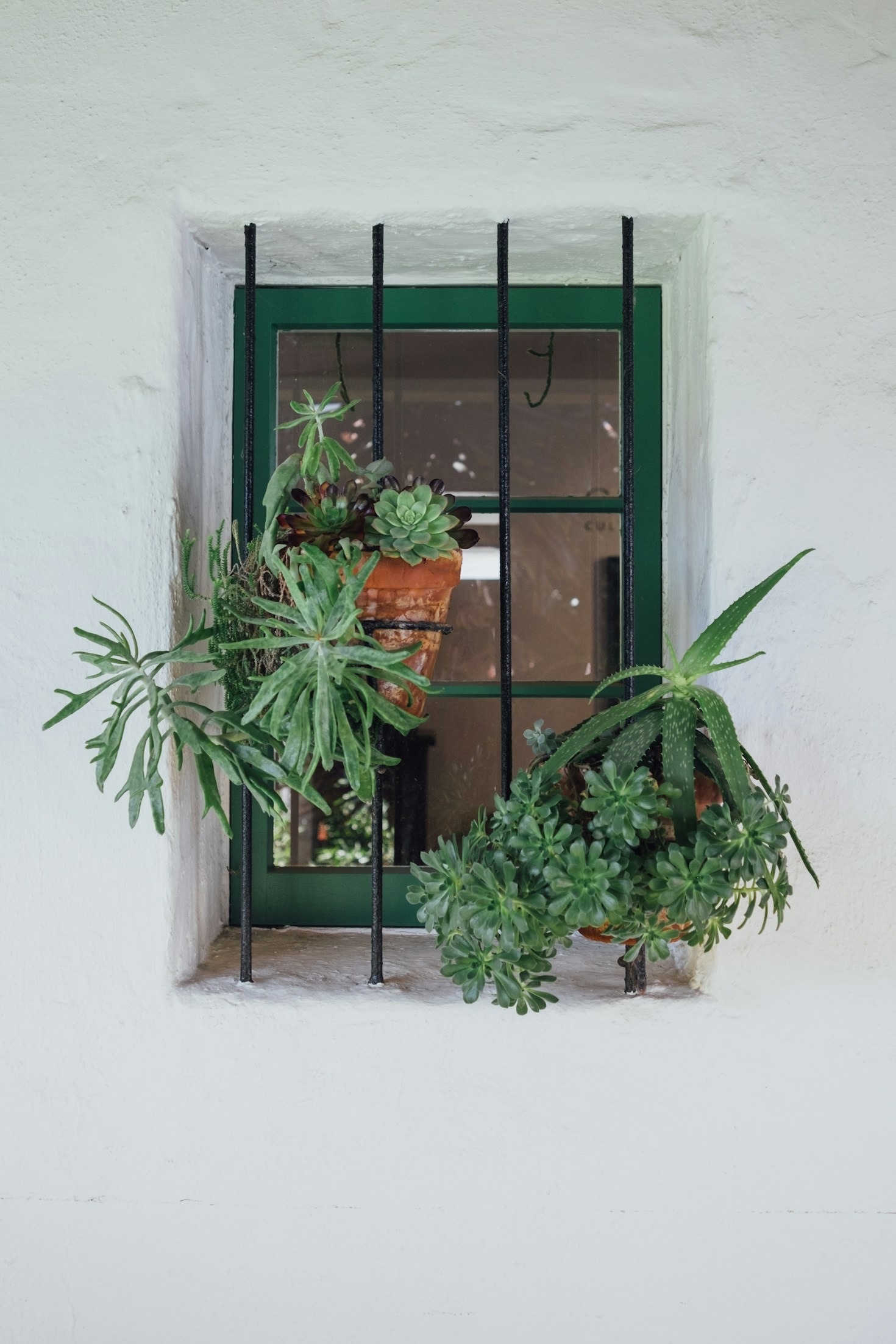 Creating a Space That Truly Sparks Joy